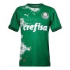 Virallinen Fanipaita Palmeiras Special Edition 2024 Vihreä - Miesten